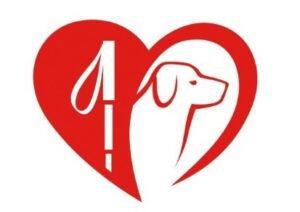 Partenariat avec l’OBAC et la FFAC